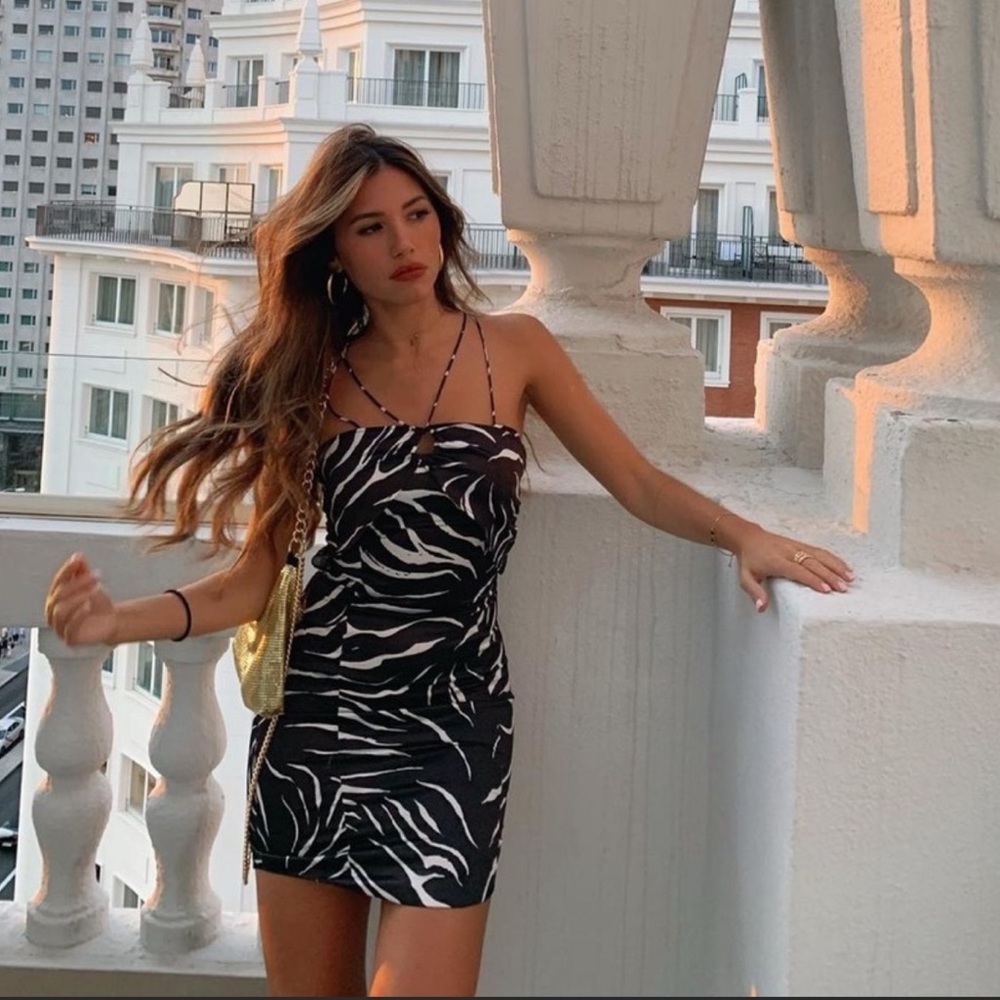Zara animal print mini dress